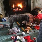 Warren and the dogs on Christmas morning