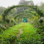 Giverny arches